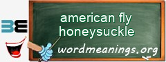 WordMeaning blackboard for american fly honeysuckle